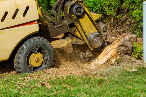 Best Artificial Turf Installation  in Upper Fruitland, NM